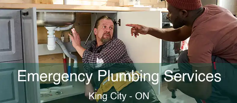 Emergency Plumbing Services King City - ON