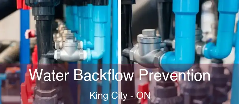  Water Backflow Prevention King City - ON